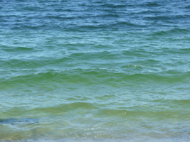 The Shining Sea