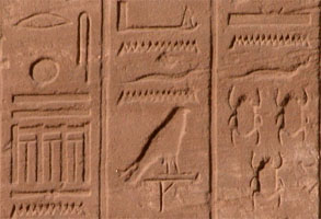 Hieroglyphics with scarabs