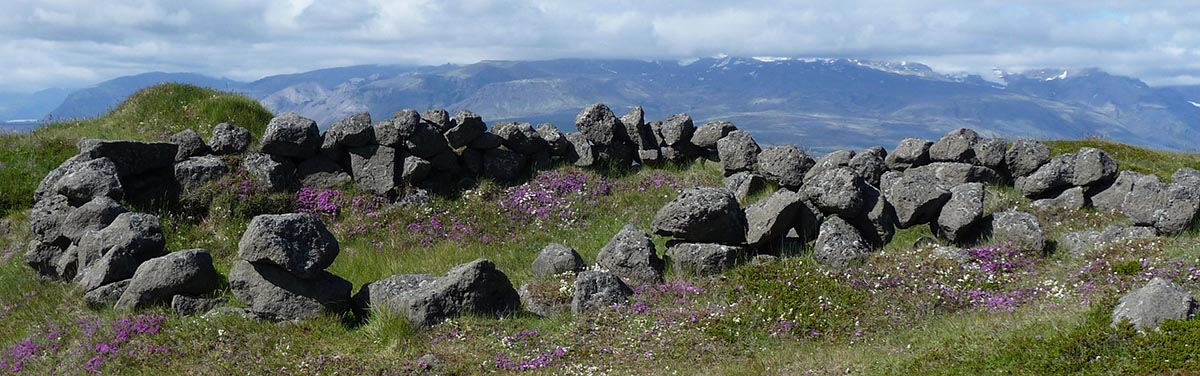 A circle of rocks with thyme blooming a bright purple against the green grass.