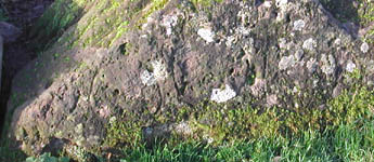 Rock with carvings