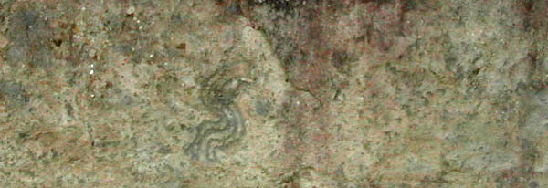 S shaped curves on a rock