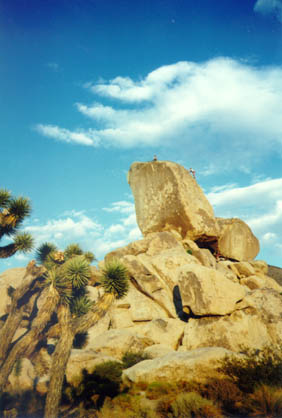 Headstone from a distance