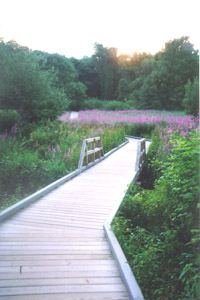 The first walking bridge