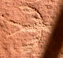 Bird petroglyph