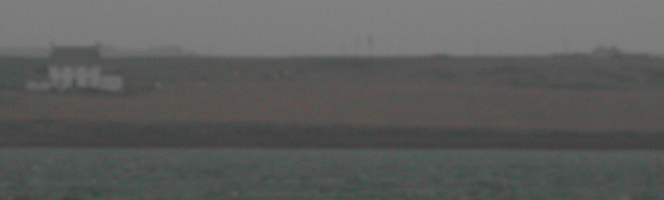 Foggy day on the island