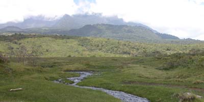 path for hike